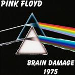 brain damage 1975
