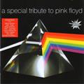 mike lloyd - the pink floyd instrumental tribute