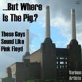 the illusion a sound like pink floyd