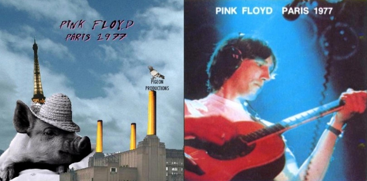 Pink Floyd Shine on